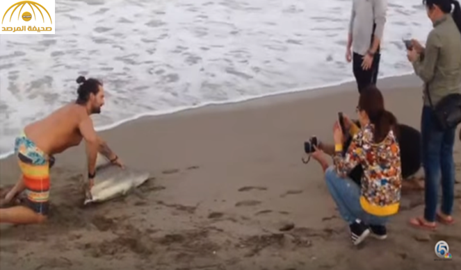 بالفيديو: أمريكي يسحب قرشاً من المياه ليلتقط صوراً معه