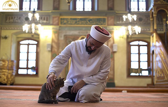 بالصور: "الإمام صديق القطط" في إسطنبول يثير اهتمام الإعلام العالمي