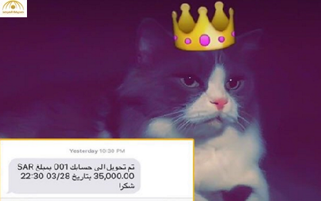 بالفيديو: سعودي يبيع قط صديقه بـ35 ألفاً عبر "سناب شات"