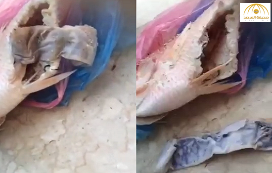 بالفيديو: سعودي يعثر على "عمل سحري" مخبّأ في أحشاء سمكة