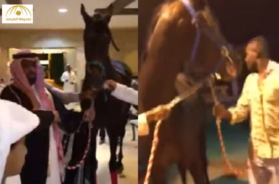بالفيديو:مواطن يهدي "حصاناً" لعريس في حفل زفافه