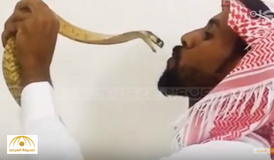بالفيديو:شاب سعودي يقبل كوبرا قاتلة بفمها.. ويروي تجربته في تربية الأفاعي