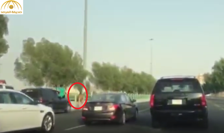 بالفيديو : جمل سائب يتسابق مع السيارات بأحد شوارع مكة