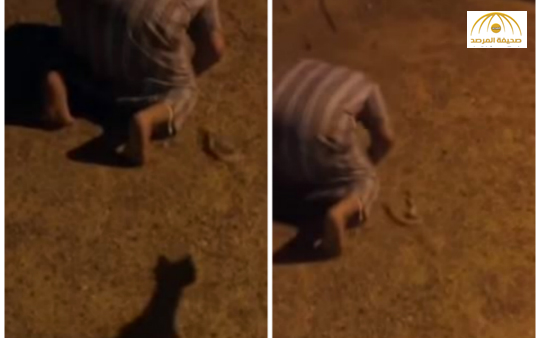 بالفيديو: شاهد رد فعل شاب رمي عليه صديقه ثعبان أثناء الصلاة