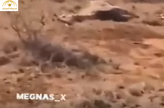 بالفيديو:مواطنون يصطادون زرافة ويذبحونها ويجهزونها للطبخ