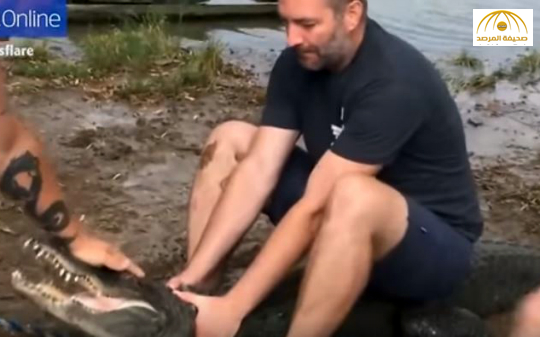 بالفيديو: تمساح يبتر إبهام رجل أثناء اللعب معه