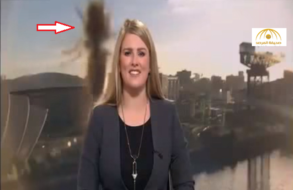 بالفيديو : شاهد كيف وضعت حشرة ضخمة مذيعة bbc في موقف محرج