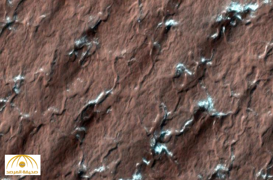 اكتشاف سر عناكب المريخ
