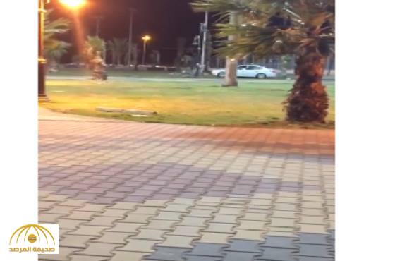 بالفيديو:شاب يمارس التفحيط  في حديقة بأبها