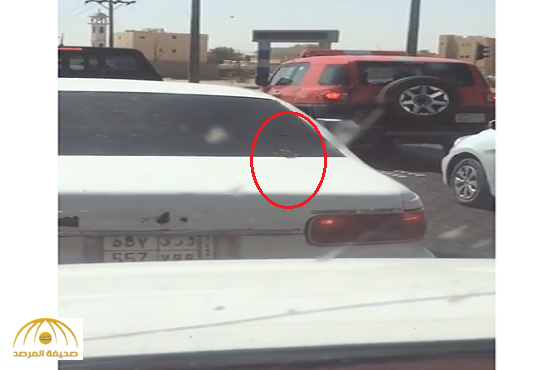 بالفيديو:مواطن يوثق خروج أصابع يد من شنطة سيارة.. والشرطة تحقق