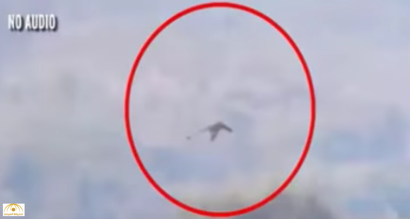 بالفيديو: طائر ضخم يشبه التنين يحلّق فوق جبال الصين