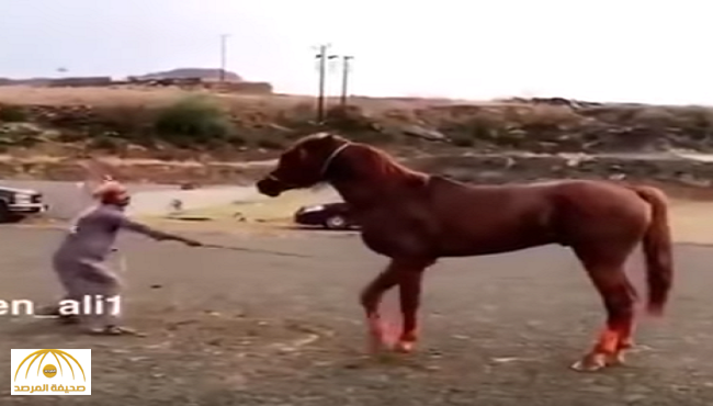 بالفيديو:مواطن يحاول ترويض حصان بالقوة وهذه كانت النهاية!