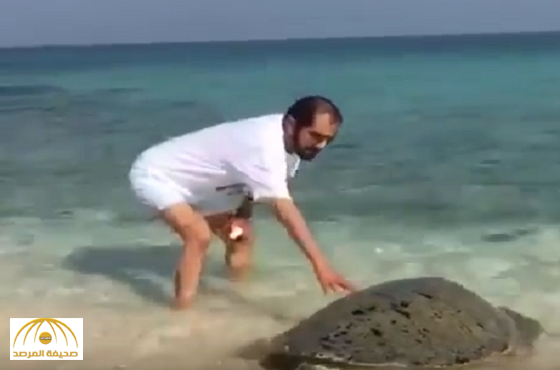 بالفيديو:شاهد محمد بن راشد يداعب سلحفاة ضخمة على أحد شواطئ دبي