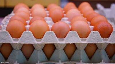 The Untold Story of the Invention of the Egg Carton by Joseph Cowell