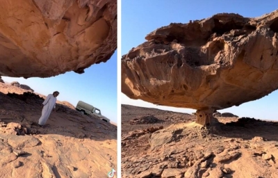 Strange Rock Found in Tabuk Region: Uncovering the Mystery of the Desert’s Fossilized Tree