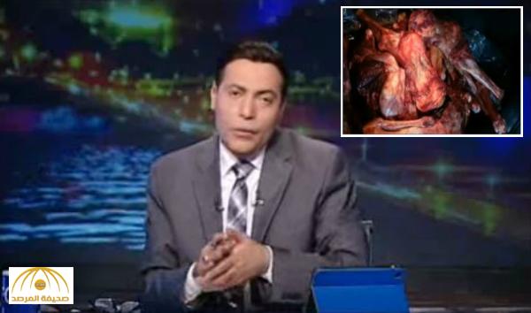 بالفيديو : إعلامي مصري  يعلق على ضبط “600” كيلو لحم حمير جاهزة للتوزيع : ” أنا خايف وأنا بتكلم أنهق”