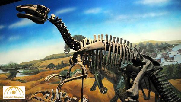 دراسة علمية تكشف الوقت الذي يحتاجه بيض الديناصورات حتى يفقس؟