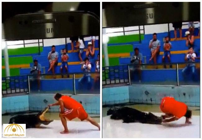 بالفيديو: تمساح ضخم يحاول تمزيق ذراع مدربه في تايلاند