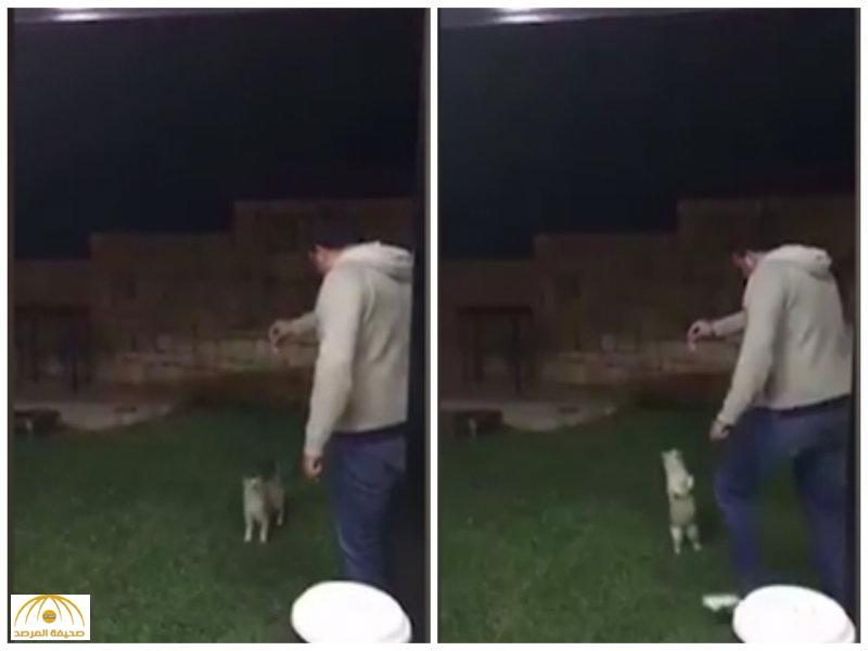 بالفيديو: شاهد ماذا فعل هذا الرجل عندما وقفت “القطة” لتتناول الطعام!