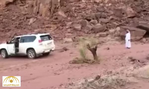 بالفيديو : مواطن حاول اقتلاع جذع شجرة .. فكانت المفاجأة صادمة !
