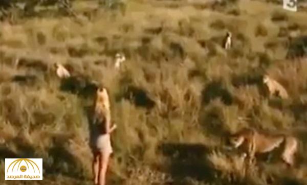 فيديو مرعب لفتاة وسط مجموعة من النمور .. اشترته "ناشيونال جيوجرافيك" بمليون دولار!