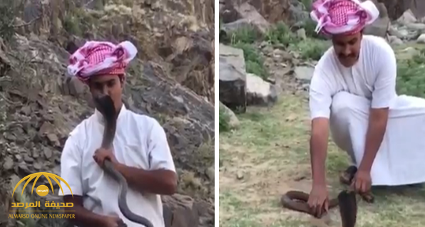 بالفيديو: سعودي يقبل "أفعى" سامة بطريقة المحترفين في التعامل مع الثعابين!