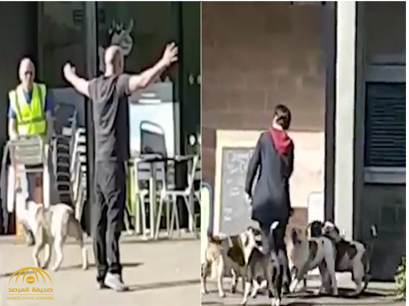 "أحدهم هاجم سيدة من الخلف".. كلاب تنشر الفزع في شوارع "بولتون" والشرطة تُطلق النار !-فيديو