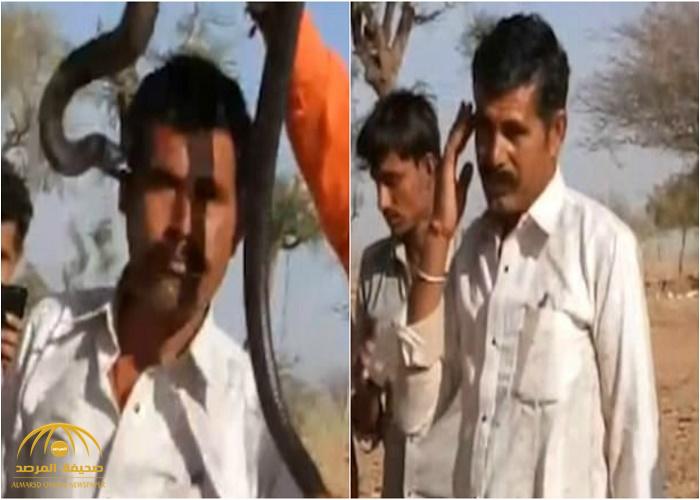 في مقطع فيديو: رجل هندي وقف ليلتقط صورة مع ثعبان "الكوبرا".. فانتهى المشهد بكارثة