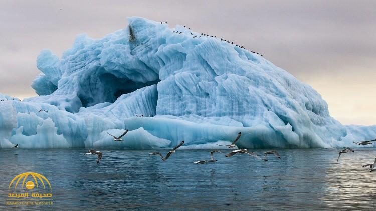 هل يعقل ذلك؟ … الإمارات تنوي نقل كتل جليدية ضخمة من القطب الجنوبي إلى إمارة الفجيرة !