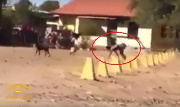 بالفيديو: شاهد .. رجل غريب  يمشي على يديه وقدميه مع عدد من الكلاب!