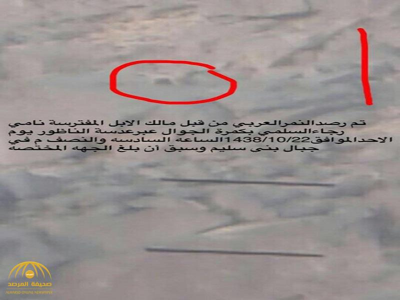 مواطن يوثق ظهور "النمر العربي" في قرى "بني سليم".. وهذه هي جملة ضحاياه!_صور