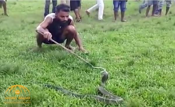 بالفيديو : شاهد ماذا أخرج شاب هندي من بطن ثعبان الكوبرا