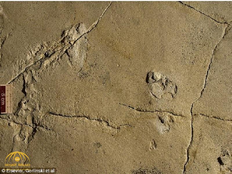 بالصور: حفريات لآثار أقدام بـ "اليونان" عمرها 5.7 مليون سنة تهز نظرية التطور البشرية!