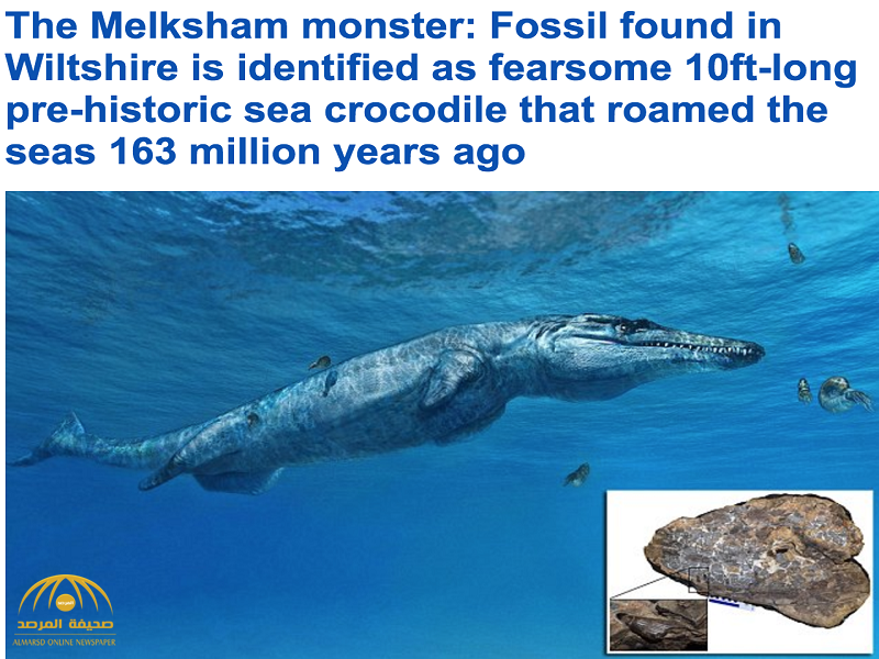 بالصور: تعرف على فصيلة من التماسيح انقرضت منذ 163 مليون سنة