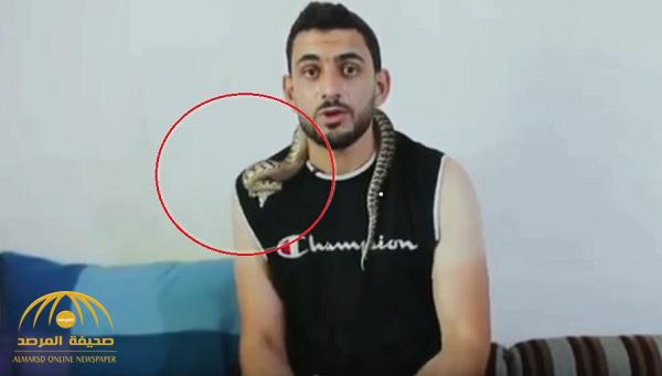 فيديو صادم لحظة تعرّض خبير أفاعي أردني للدغة "أفعى فلسطين" السامة
