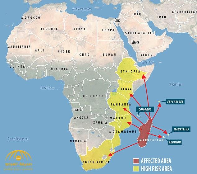 ارتفاع ضحايا «الطاعون» في مدغشقر .. والصحة العالمية قد تعلنه كـ"وباء عالمي" في غضون الأيام القادمة