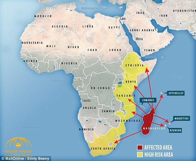 وباء "الطاعون" الأشد فتكاً يجتاح أفريقيا..وهذه الدول تعلن حالة التأهب القصوى!-صور