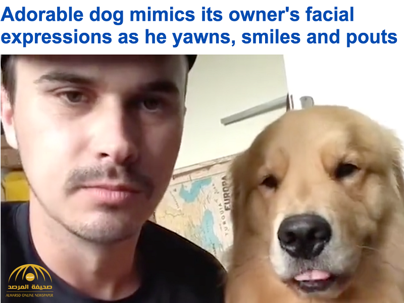 شاهد..كلب يقلد تعابير وجه صديقه البرازيلي يثير إعجاب المشاهدين!