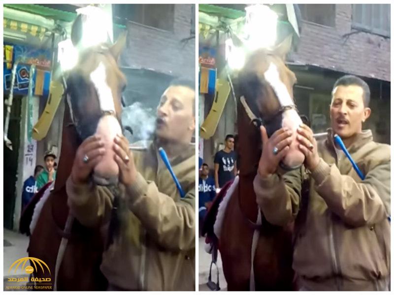 بالفيديو : شاهد ما حدث للحصان بعد إجباره على شرب الحشيش في فرح شعبي بمصر
