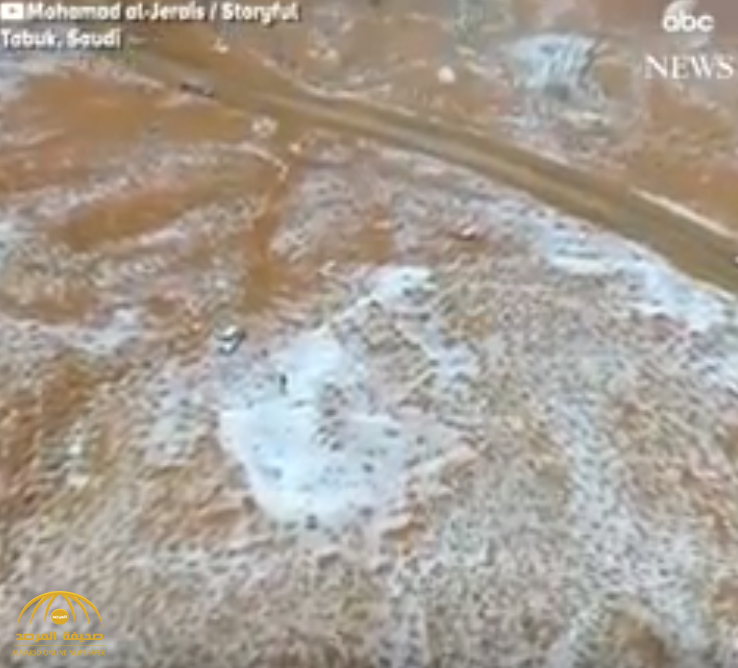 فيديو مذهل.. شاهد: تساقط الثلوج من السماء في جميع أنحاء المملكة