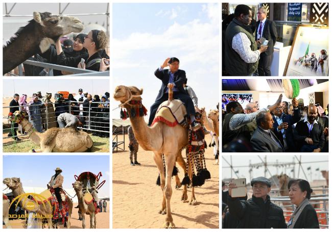 شاهد بالصور .. زيارة أكثر من 70 دبلوماسياً لمهرجان الملك عبدالعزيز للإبل