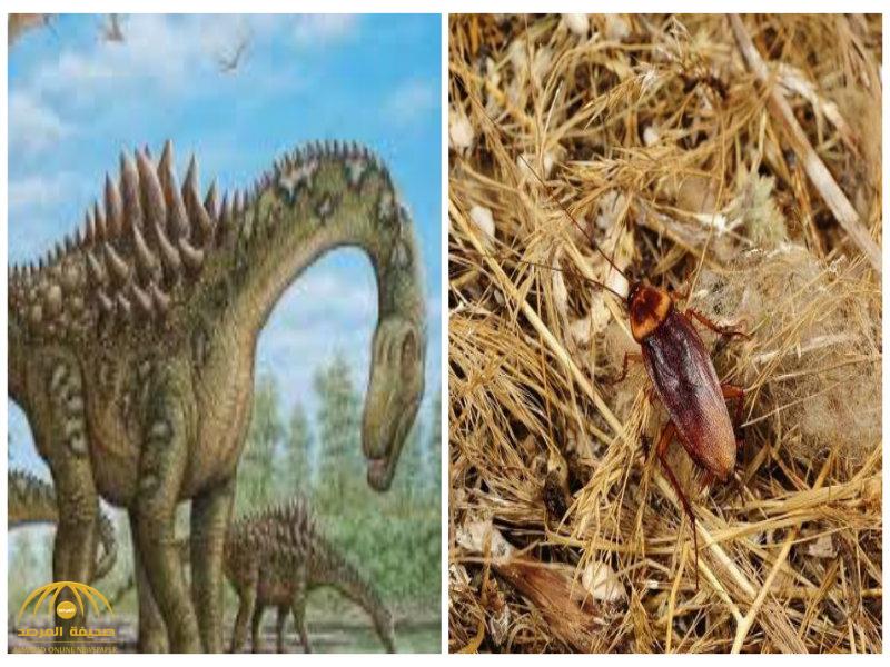 أيهما أقدم.. الصراصير أم الديناصورات؟