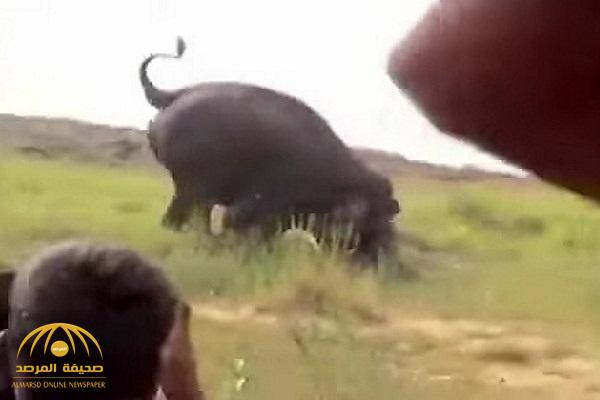 بعد أن أغضبه السكان .. شاهد : فيل يهاجم مزارعاً هندياً ويقتله سحقاً