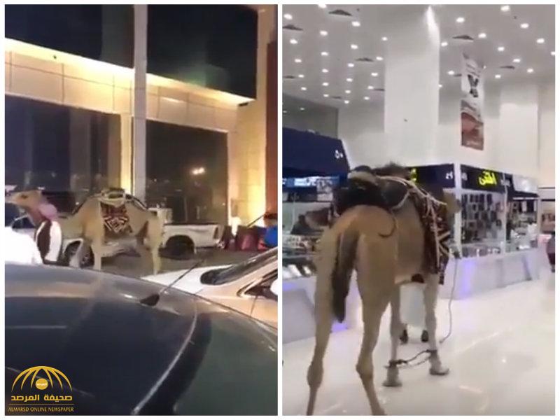 بالفيديو: سعودي يقود ناقة داخل مجمع اتصالات بـ "الرياض".. شاهد: ماذا فعلت