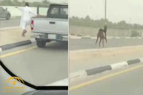 «مطاردة على الطريق السريع».. حصان يركض وسيارات تلاحقه.. وهذا ما فعله صاحبه في نهاية الأمر - فيديو