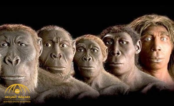 اكتشاف يدحض نظرية تطور الإنسان من القرد