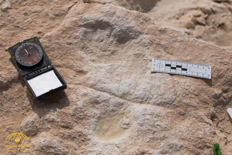 بالصور .. اكتشاف آثار أقدام إنسان تعود لأكثر من 85 ألف عام في صحراء النفود