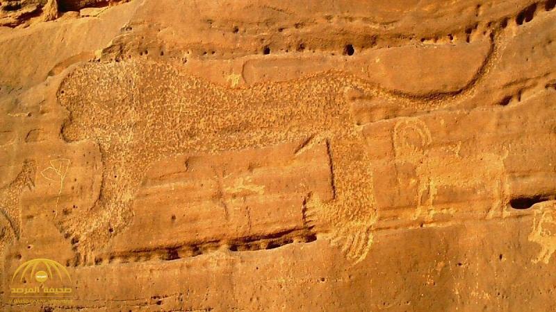 بالصور : السبب وراء نقش صورة أسد على صخرة ضخمة قبل 10  آلاف عام في السعودية!