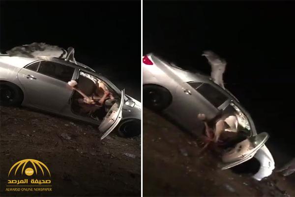 شاهد .. حادث مروع لحظة اصطدام سعوديين بجمل سائب على طريق بالأردن