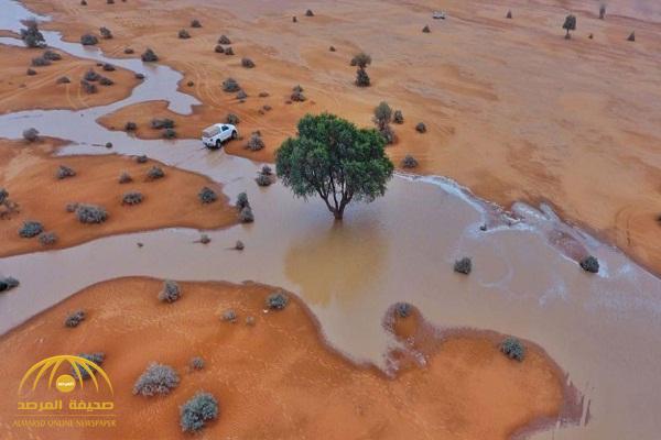 شاهد: فيديو مهيب لإبل بصحراء المملكة تسير تحت الأمطار